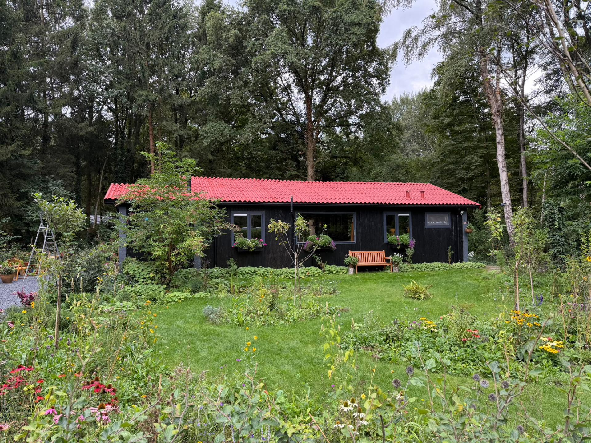 Dakplaten coaten in Drijber